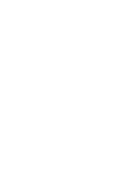 N-logo2